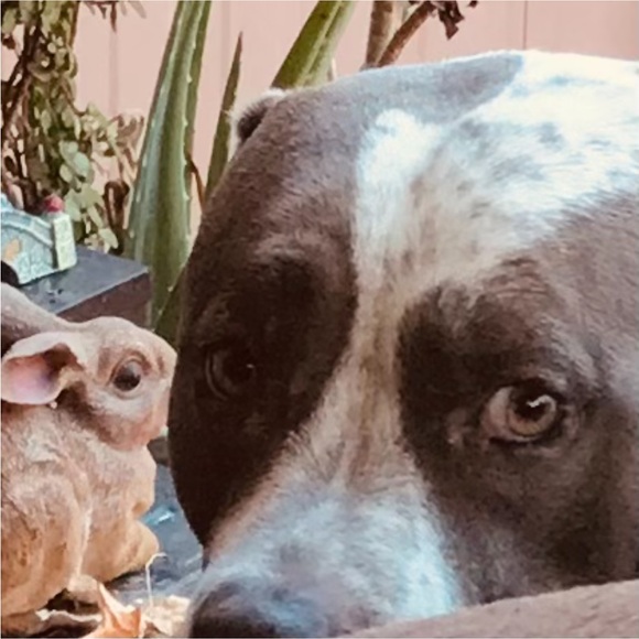 Polka Dot Blouse - Picture 9 of 9